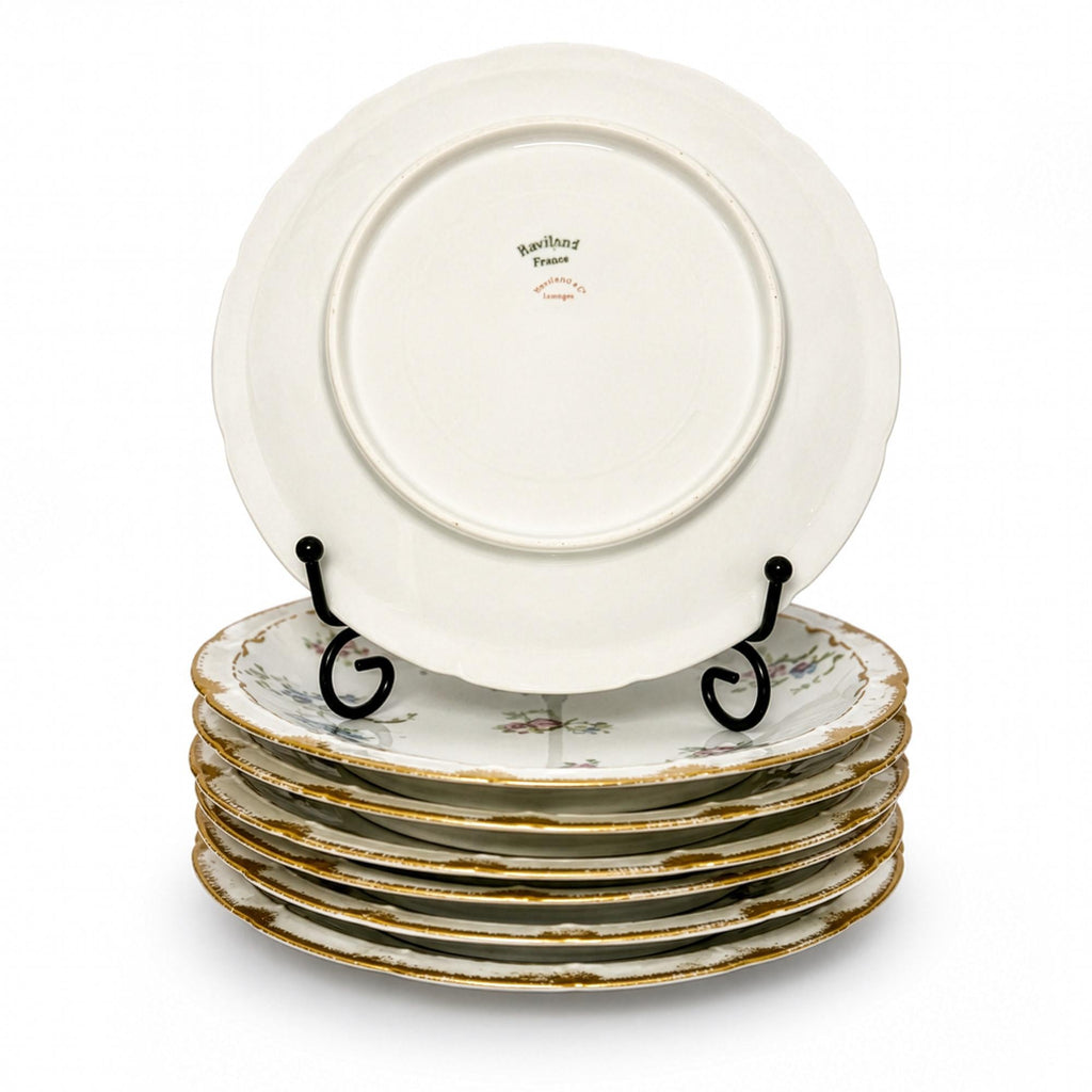 Haviland Limoges Floral Porcelain Plates Set of Eight, France, 1888 — image 3