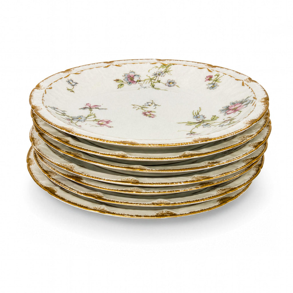 Haviland Limoges Floral Porcelain Plates Set of Eight, France, 1888 — image 4