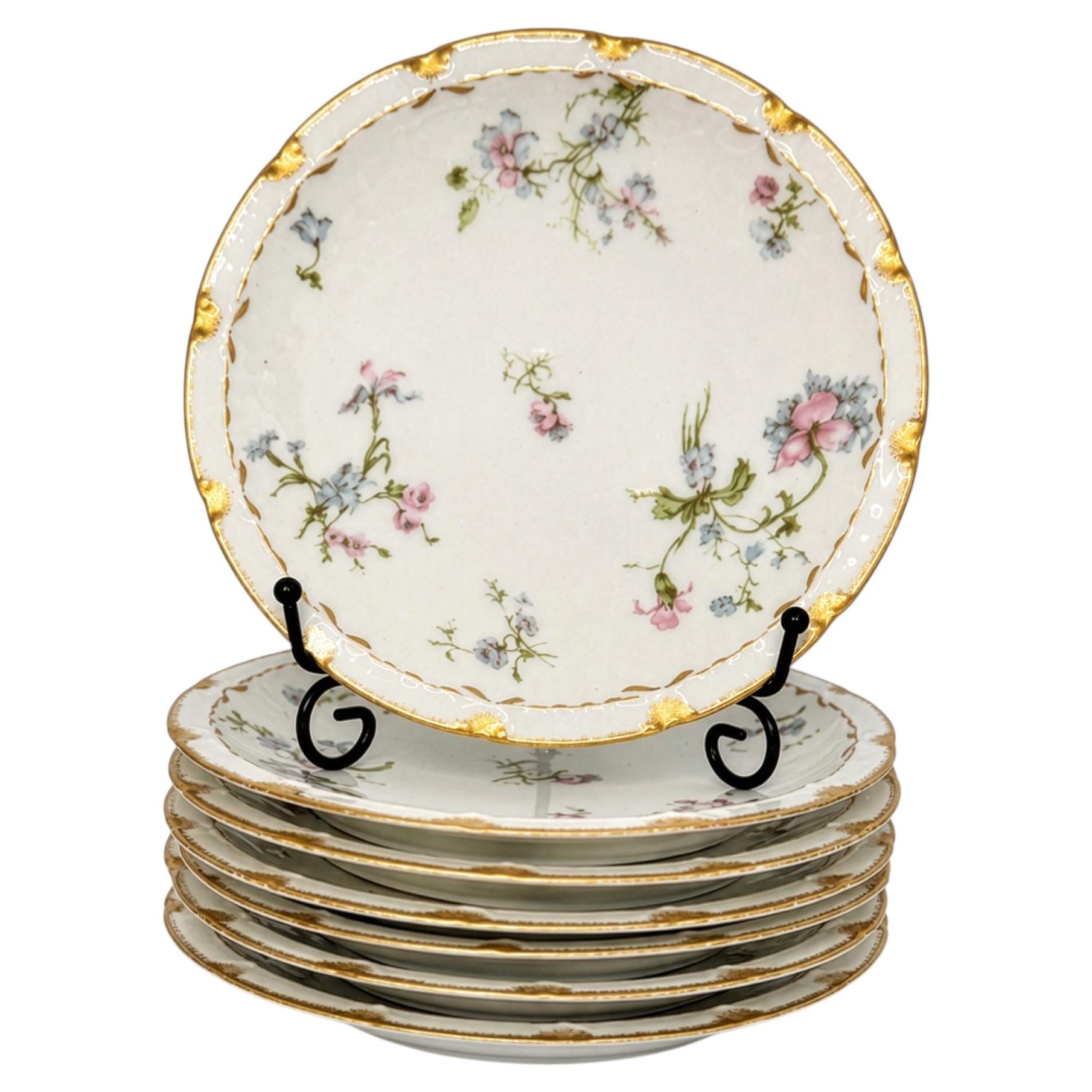 Haviland Limoges Floral Porcelain Plates Set of Eight, France, 1888