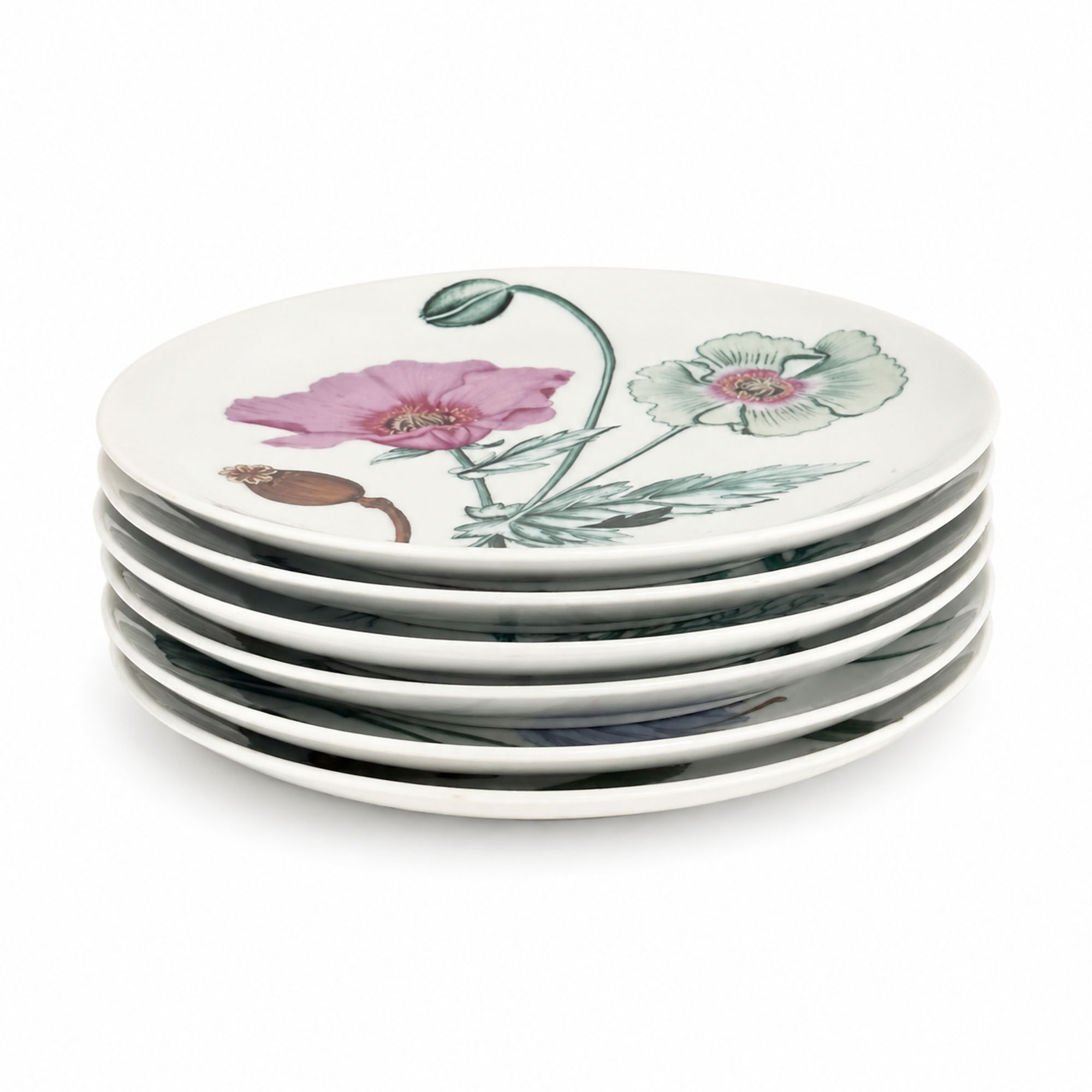 Horchow Collection Botanical Salad Plates, Set of Twelve, Made in Japan - Image 3