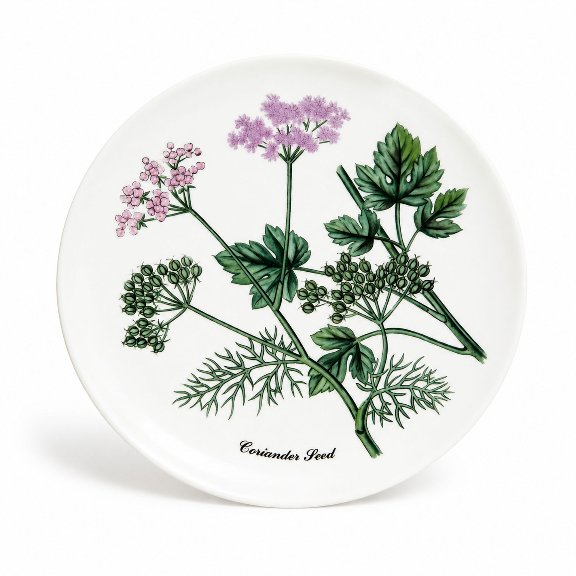 Horchow Collection Botanical Salad Plates, Set of Twelve, Made in Japan - Image 6