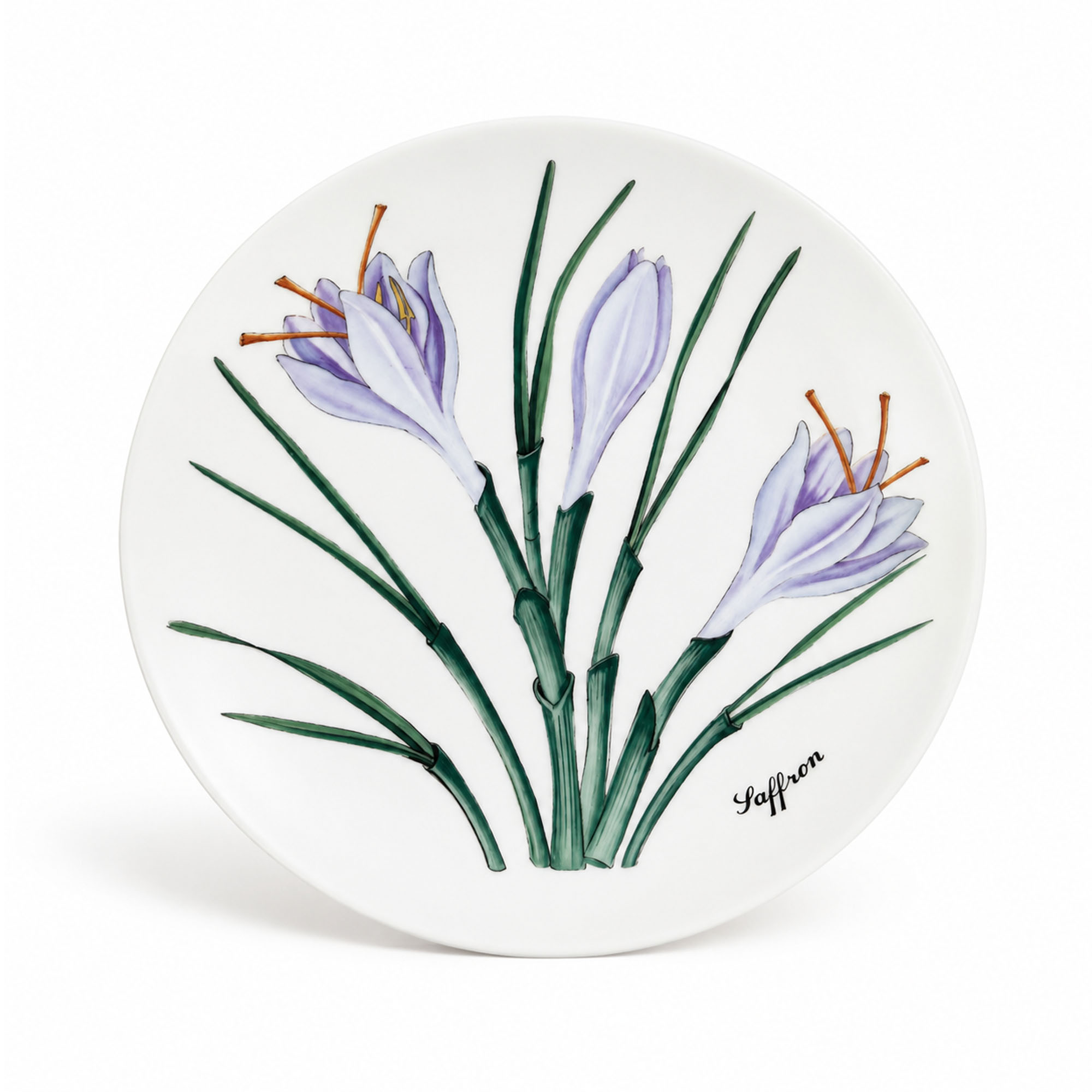 Horchow Collection Botanical Salad Plates, Set of Twelve, Made in Japan - Image 7