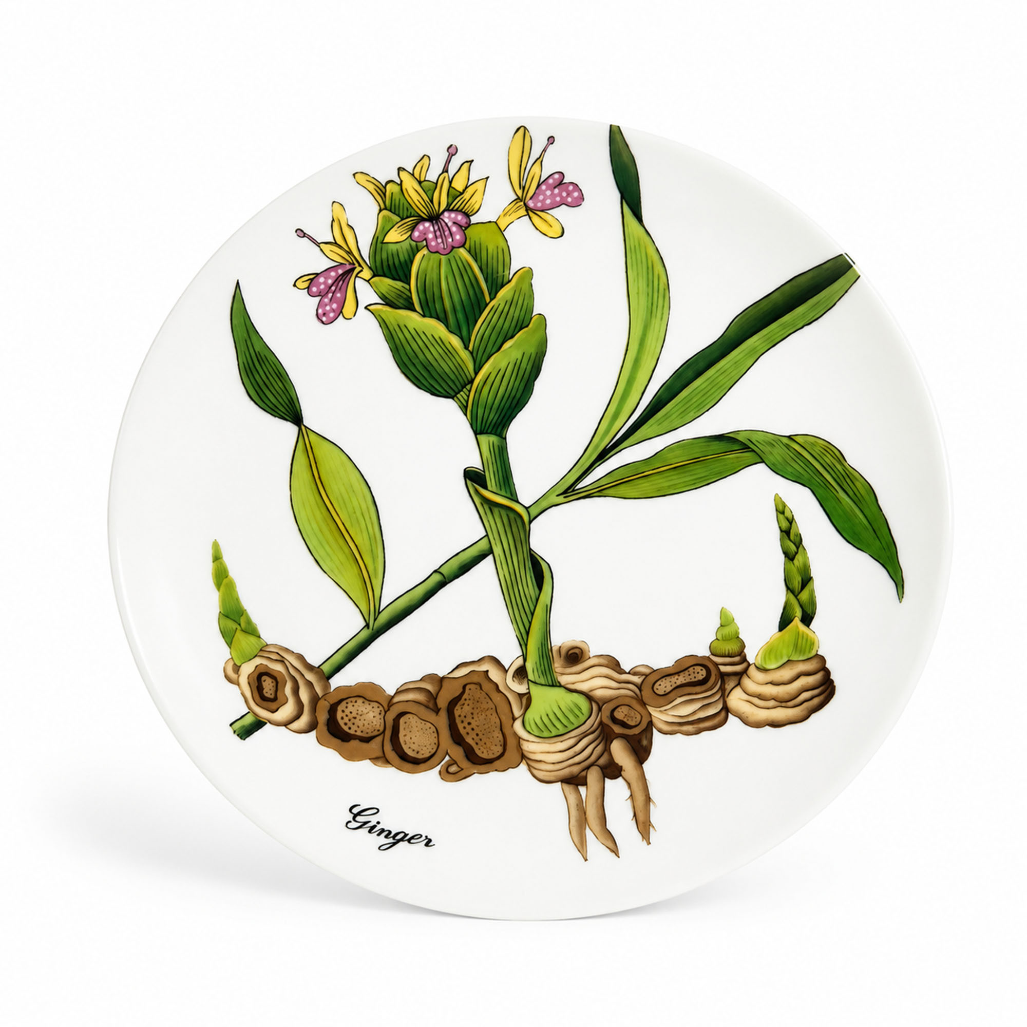 Horchow Collection Botanical Salad Plates, Set of Twelve, Made in Japan - Image 8